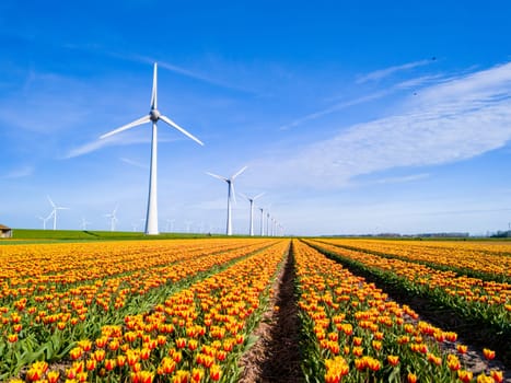 A vibrant field of tulips stretches towards the horizon, with majestic windmills spinning in the distance, painting a picturesque scene of nature's beauty in Flevoland, Netherlands.