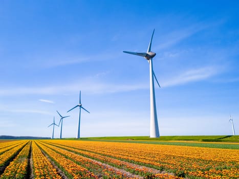 Windmill park in a field of tulip flowers, drone aerial view of windmill turbines generating green energy electrically, windmills in the Netherlands.
