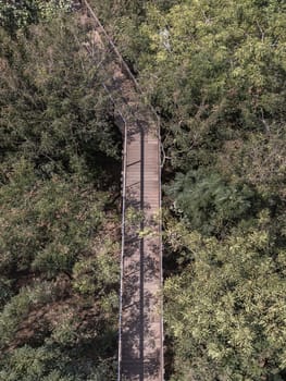 Aerial shot view of a beautiful wooden suspension bridge in the middle of the forest surrounded by lush green forest on a sunny morning. Sunlight through the leaves, Wooden bridge crossing forest tropical eco-park, Beauty nature scene. Space for text, Selective focus.