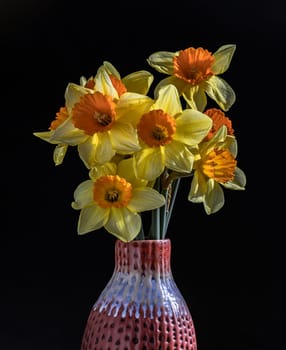 Arrangement of Yellow Spring Flowers Daffodils. Bunch of daffodils in a red ceramic vase on a dark background, Amazing dark background with Yellow flowers, Space for text, Selective focus.