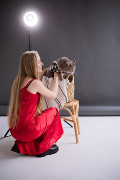 A woman, freelancer, blogger in a silk red dress on a white floor, black background. blonde owner cat of the Scottish Straight-eared breed at production studio