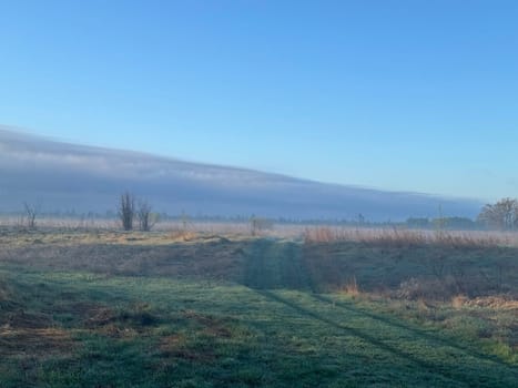Dawn in the morning in nature on a the river