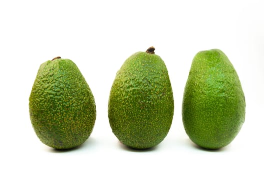 Three green avocados are lined up on a white background. The avocados are ripe and ready to eat
