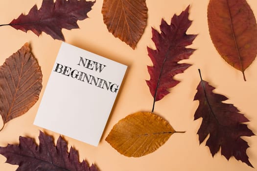 A white piece of paper with the words New Beginning written on it is placed on top of a pile of autumn leaves