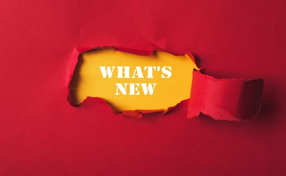 A red background with a yellow border and a white word that says What's New in the middle