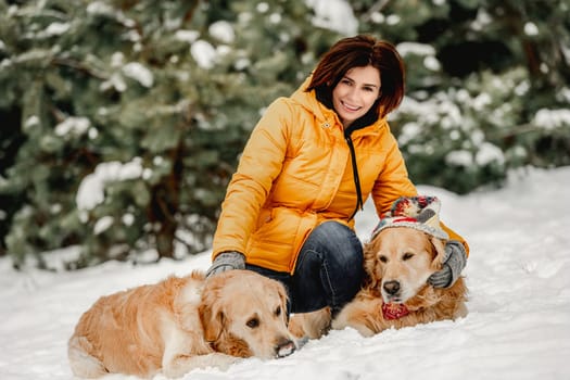 Golden retriever dogs in winter time with girl owner posing in snow. Young woman looking at camera with doggy pets in forest in cold weather