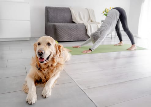 Grey-Haired Retired Woman Practices Downward Dog Yoga Pose At Home Next To Her Golden Retriever