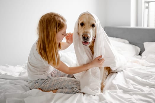 Girl Plays With Golden Retriever In Bed, Covering Him With Blanket In Bright Room In The Morning