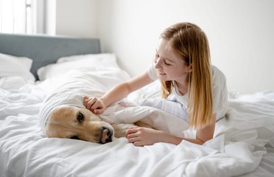 Girl Plays With Golden Retriever In Bed, Covering Him With Blanket In Bright Room In The Morning