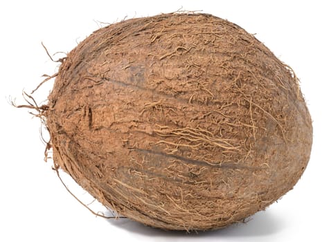 Whole round coconut on white isolated background, close up