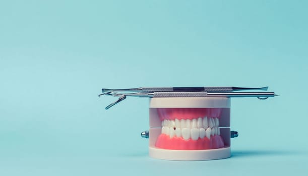 Plastic model of human jaw with white even teeth and a medical examination mirror, tweezers on a blue background, oral hygiene