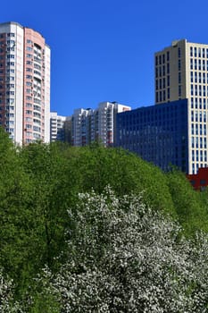 City houses surrounded by trees in the Moscow, Russia