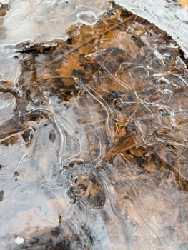 thin transparent ice on a puddle in the park on a spring day, foliage through the ice, dry grass through ice. High quality photo