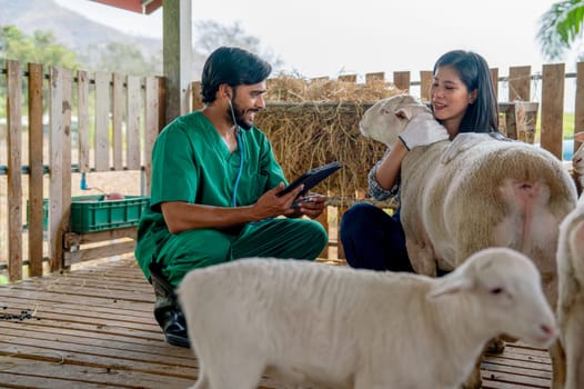 Asian farmer woman hug and take care sheep in stable and veterinarian man also support about healthcare for sheep beside and they look happy to work together.