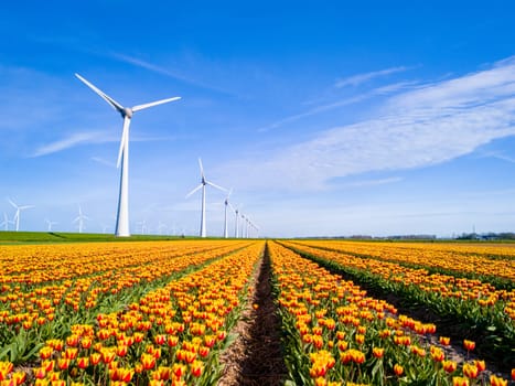 A field colorful of flowers with towering windmills in the background, set against the beautiful backdrop of Flevoland, Netherlands in Spring. windmill turbines, green energy, eco friendly, earth day