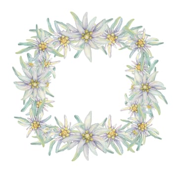 Square wreath of edelweiss flowers. Hand drawn watercolor frame clipart, floral rustic style in pastel colors. Design template for postcard, invitation, printing, wedding, isolated on white background