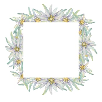 Square wreath of edelweiss flowers. Hand drawn watercolor frame clipart, floral rustic style in pastel colors. Design template for postcard, invitation, printing, wedding, isolated on white background