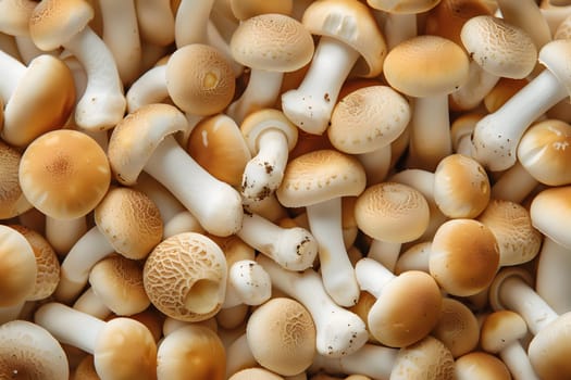 Fresh mushrooms with textured caps and white stems in full frame detail, showcasing organic patterns and natural food concepts in high resolution.