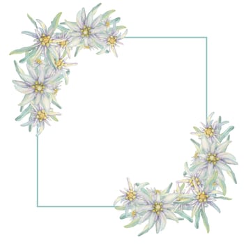 Corner frame with edelweiss flowers. Hand drawn watercolor clipart, floral rustic style in pastel colors. Design template for postcard, invitation, printing, wedding, isolated on white background