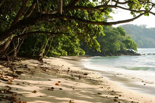 Peaceful, green forest landscape, calm sea beach, conveying solitude and nature's beauty.