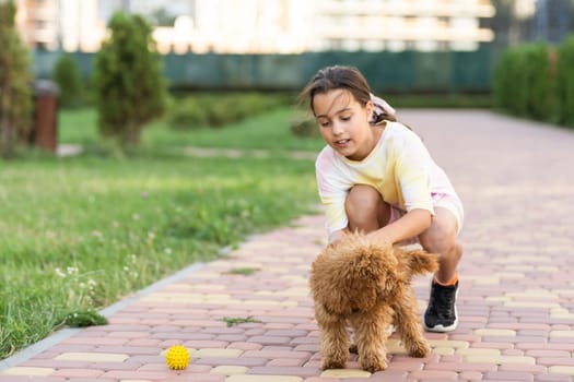 Little girl with a maltese puppy, outdoor summer