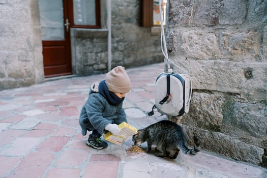 Little girl feeds a tabby cat on the street near the house, squatting. High quality photo