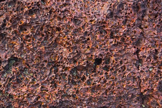 Sea rock texture. Porous stone surface similar to coral.