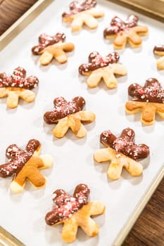 Preparing star-shaped cookies, half-dipped in chocolate, accented with peppermint chocolate chips for the holidays.