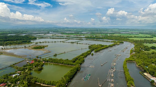 Farmland in the riverbed and fish farm. Hinigaran River. Negros, Philippines