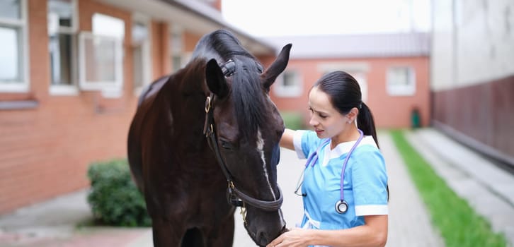 Female veterinarian doctor conducts a physical examination of black horse. Equine disease symptoms treatment and prevention concept