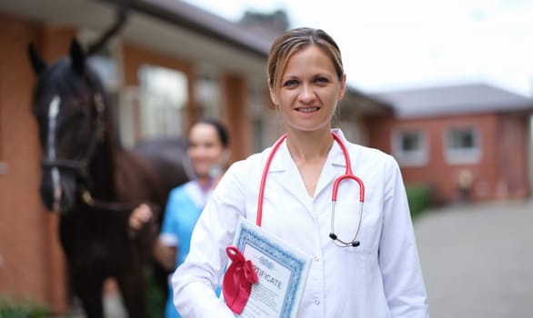 Veterinarian conducts medical examination of horse. Veterinarian services concept