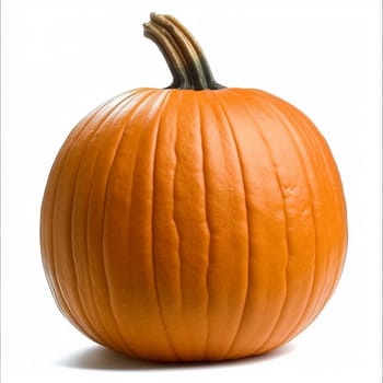 Ultra sharp photo of single bright orange pumpkin isolated on white, perfect for fall themed designs