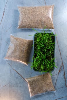 Two bags filled with cat grass sit atop a wooden table. Vertical photo
