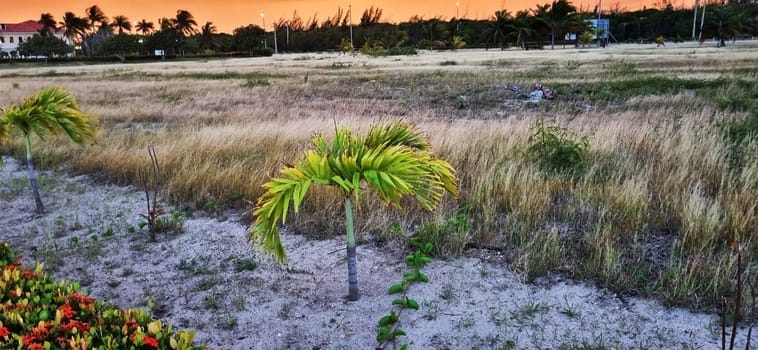 Dramatic sunset in the tropical village