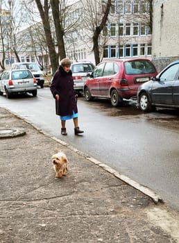 02.03.2024 - Brest, Belarus - Senior citizen walks her dog out
