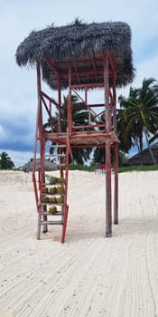 Coconuts on the steps of the watchtower of the beach