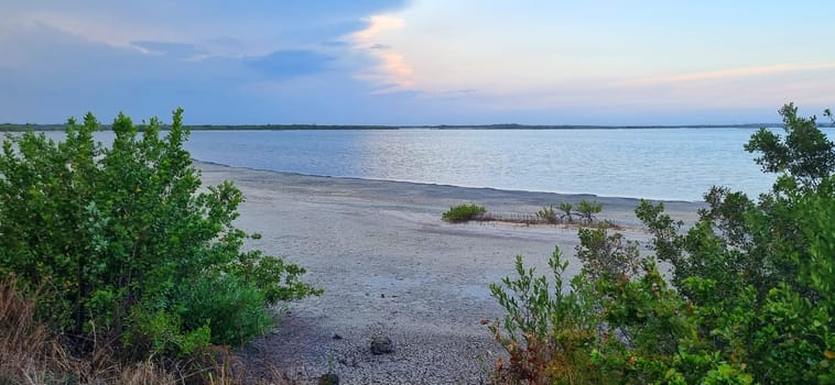 Pink lake in Cuba, Cayo Coco island. It has its color because of the plankton