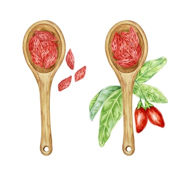 Spoons with fresh and dry goji berries in watercolor isolated on white background. Hand-drawn clipart of licium barbarum fruits. Design for printing, packaging, cards, posters, food supplements