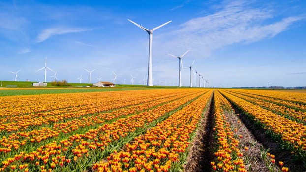 A vibrant field of orange tulip flowers stretches into the distance, with towering windmills in the background under a clear blue sky. Windmill turbines, green energy, eco friendly, earth day