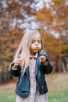 Little girl blowing on a dandelion in her hand while standing in the autumn forest. High quality photo