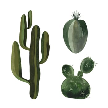 Set of cacti. Plants for the home. Floriculture. Desert flora. Isolated watercolor illustration on white background. Clipart