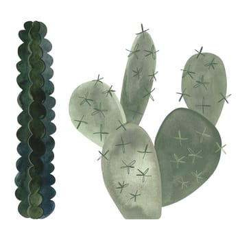 Set of cacti. Plants for the home. Floriculture. Desert flora. Isolated watercolor illustration on white background. Clipart