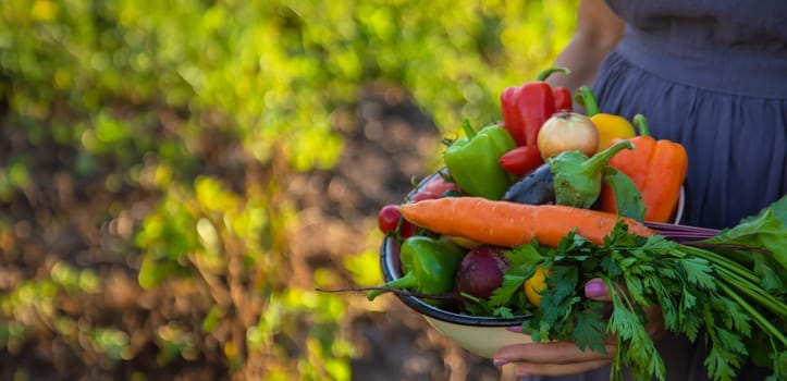 a woman with a harvest of vegetables in the garden