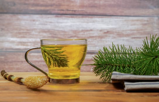 infusion of medicinal plant, horsetail Equisetum arvense with fresh branches for health care on a wooden table