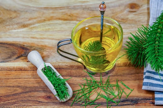 infusion of horsetail Equisetum arvense, medicinal plant for health care with fresh branches just picked from the field.