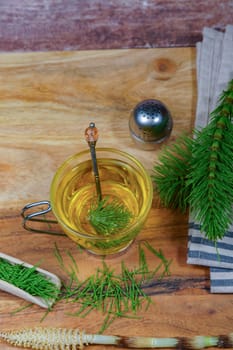 infusion of horsetail Equisetum arvense, medicinal plant for health care with fresh branches just picked from the field.