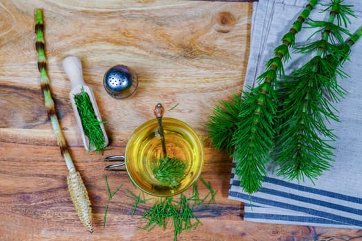 infusion of horsetail Equisetum arvense, medicinal plant for health care with fresh branches just picked from the field.