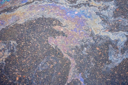 Oil residues on wet asphalt interact with sunlight, displaying a rainbow-like spectrum of colors