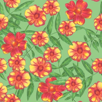 Marigold Flower Seamless Pattern. Hand Drawn Floral Digital Paper on Green Background.