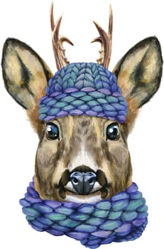 Watercolor drawing of the animal - roe deer in a blue knitted hat and scarf, sketch